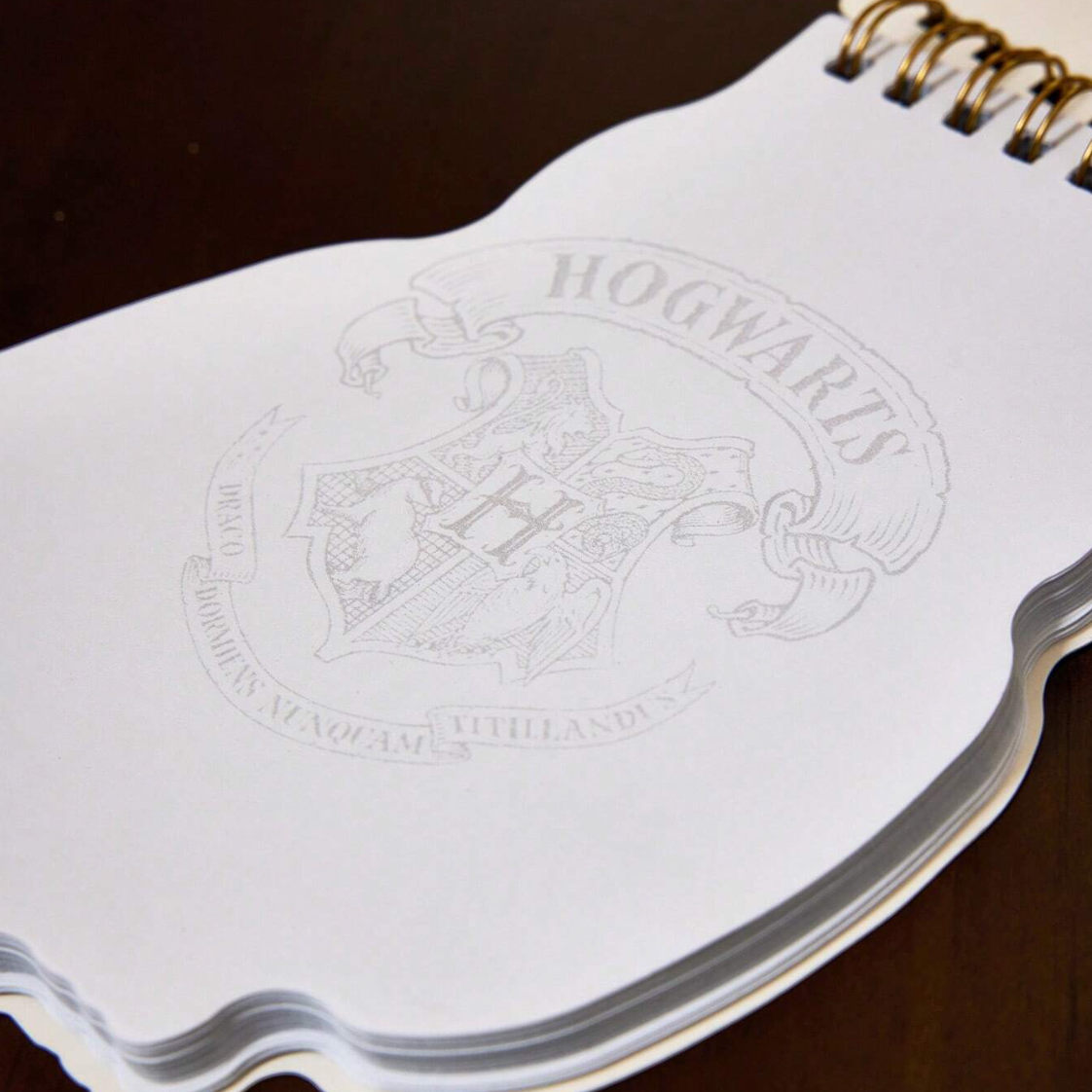 Libreta de notas Hedwik